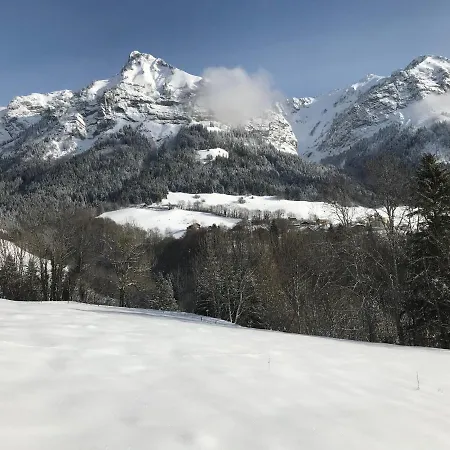Magnifique T3 Entre Et Montagne Pres D'annecy *